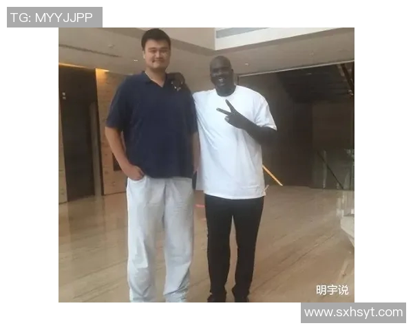 姚明新秀赛季的辉煌表现与未来篮球生涯的无限可能性探讨
