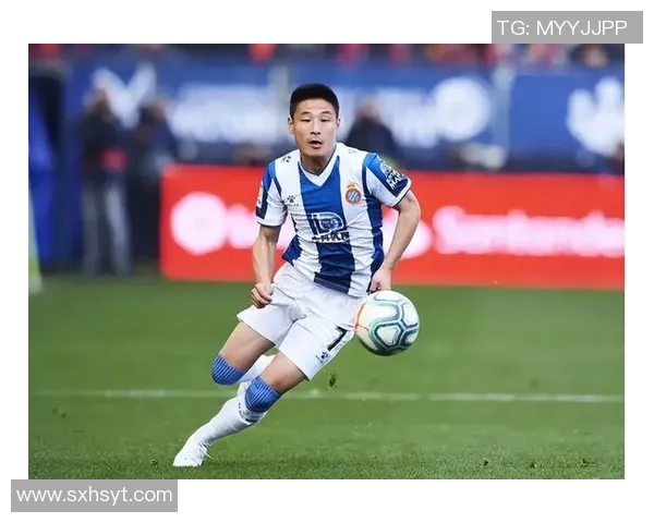 老年版足球明星名字大全揭秘让你重温昔日绿茵传奇的经典人物